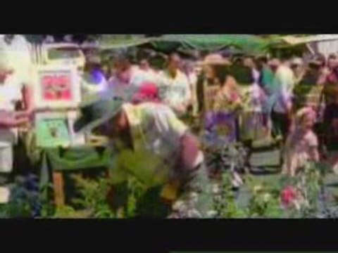 Gold Coast Australia Accommodation, Tourism and ...