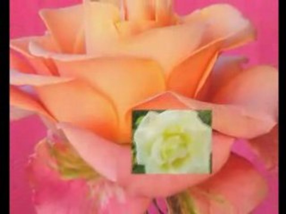 beautés de la nature