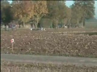 Schepens Jean-luc Clio Williams N3