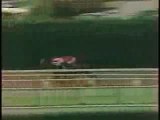 Affirmed - 1978 Belmont Stakes (CBS footage)