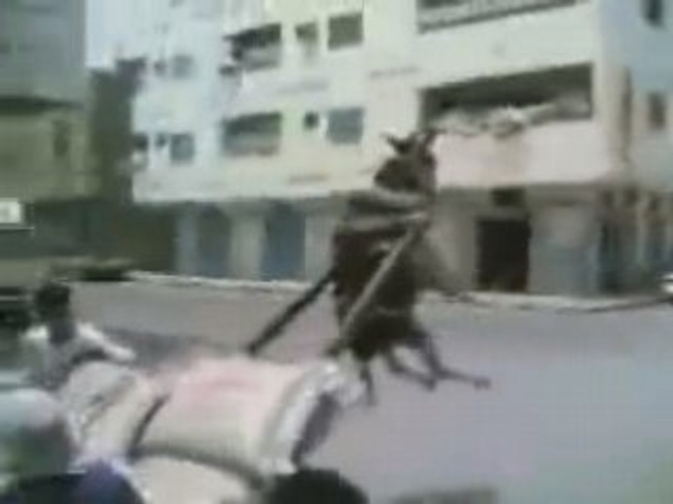 HataNerede Video
