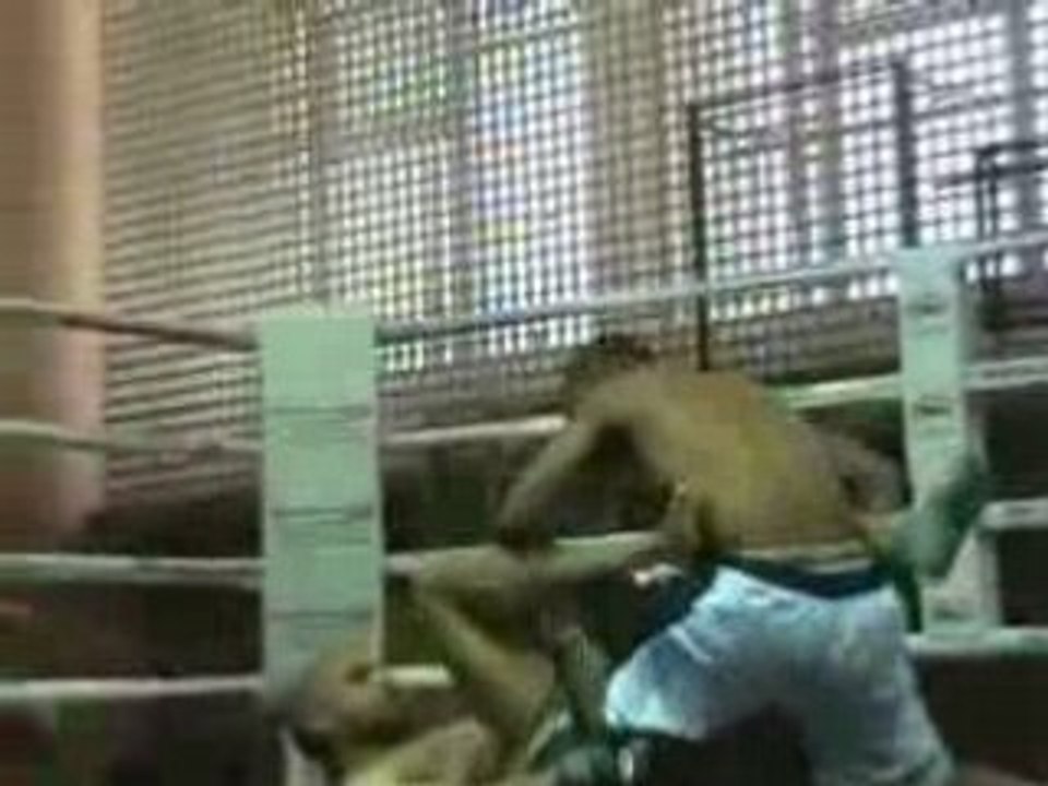 Zouere_El_Hassadi_Vs_Lionel_Brezephin