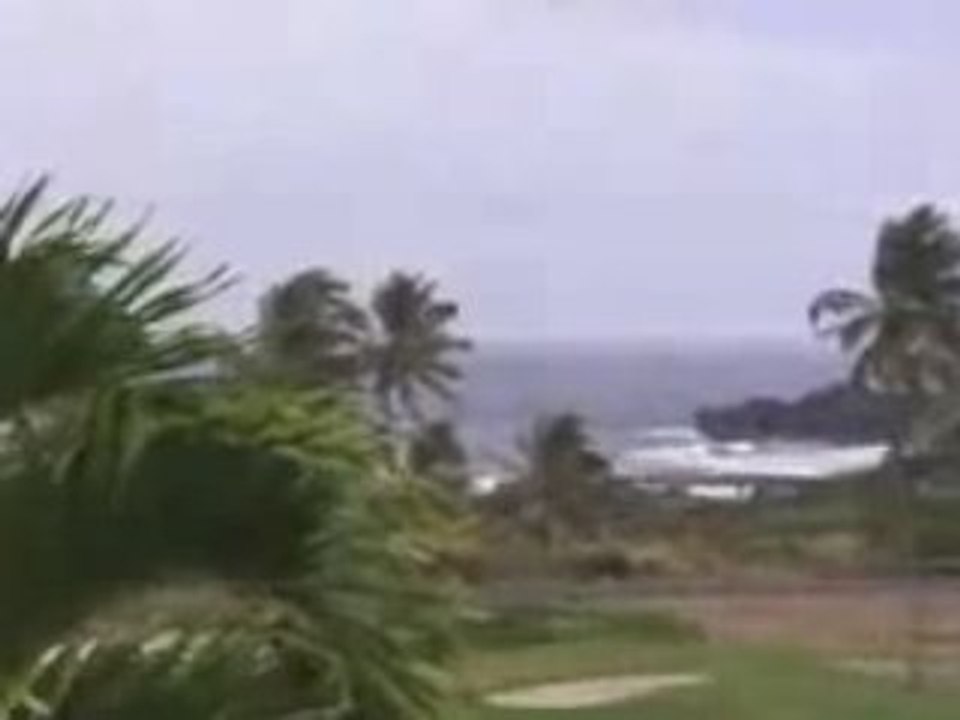 Hawaii Timeshare