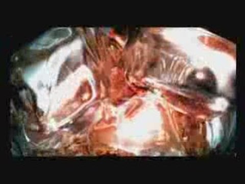 URSUS ROTER - MILKMAN SURPRISE