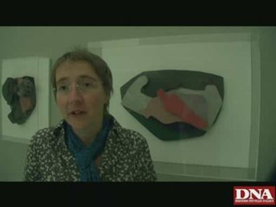 Exposition Hans Arp : quelques explications