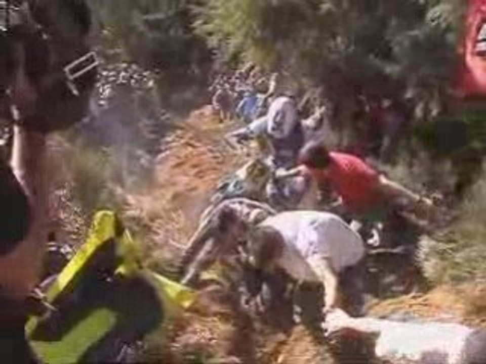 WEC-2008-Mende