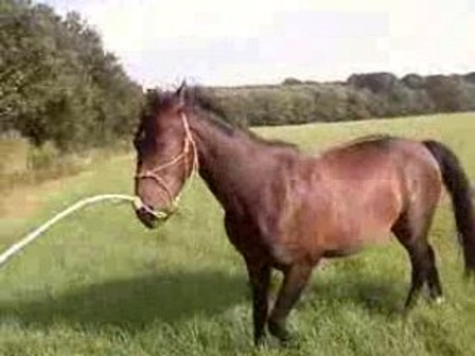 Rubis en balade