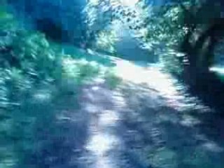 SV_A0068