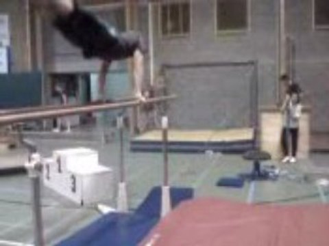 steve et moi saltos barres paralleles