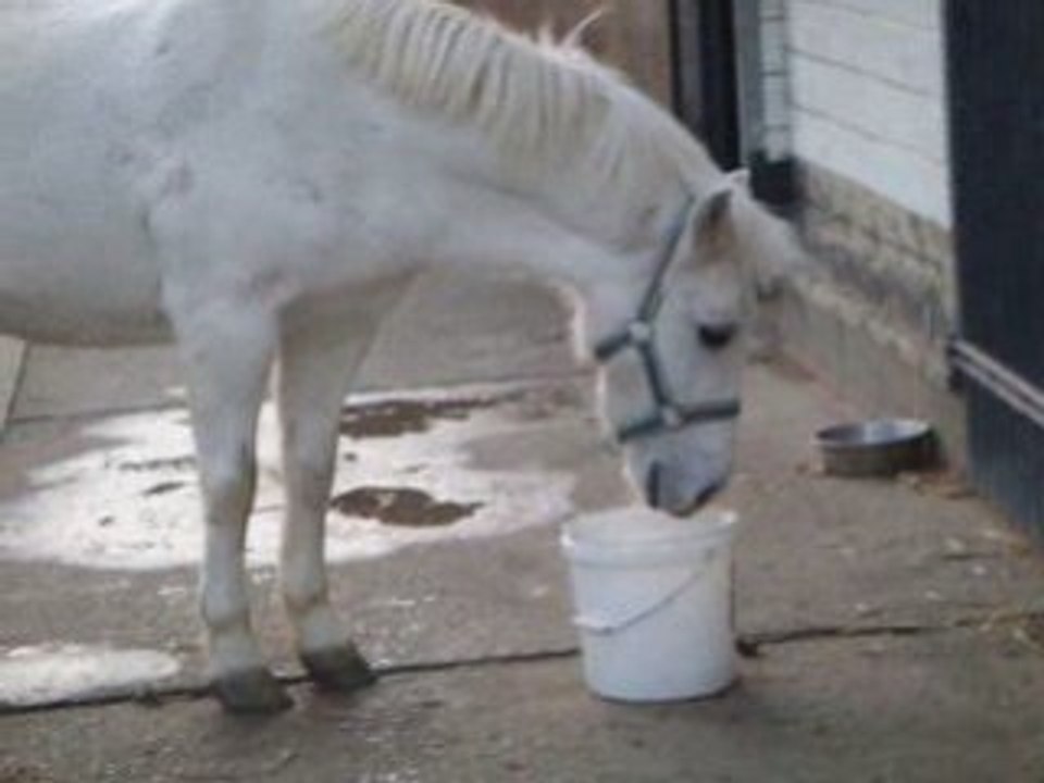 Nalouche qui mange d'une facon spéciale