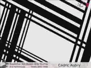 Codes barres - Cédric Aubry - Actournai 2007-2008