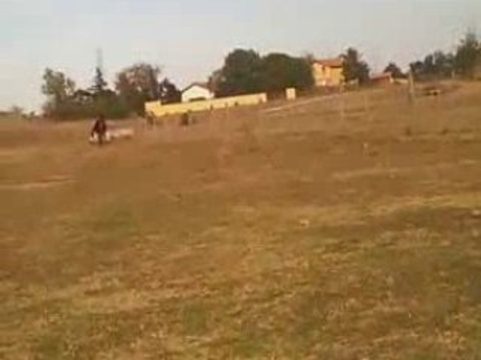 Juju la patate
