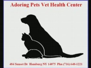 VETERINARIANS NEAR HAMBURG NY