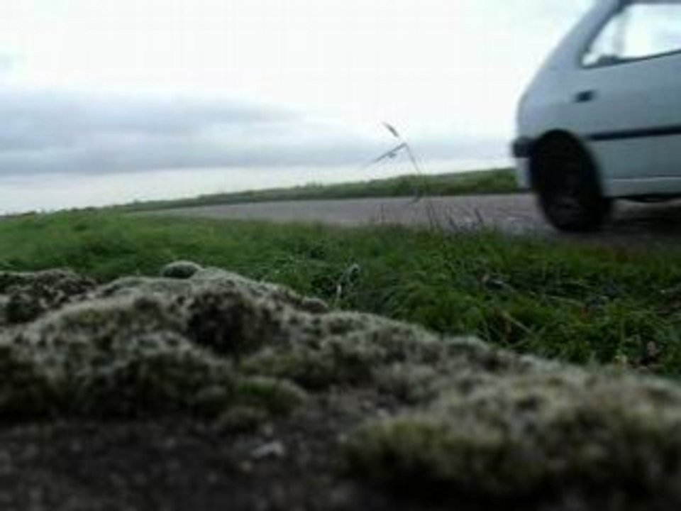 rs topalu 76.5cc