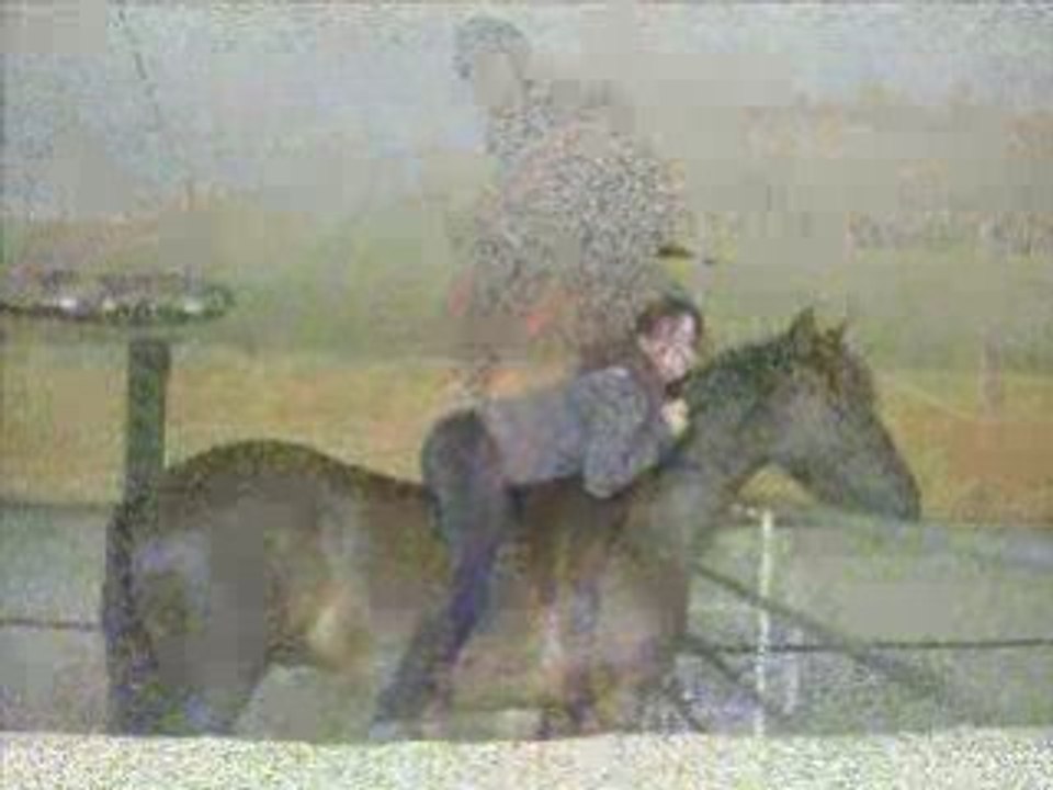 JOyce (l)