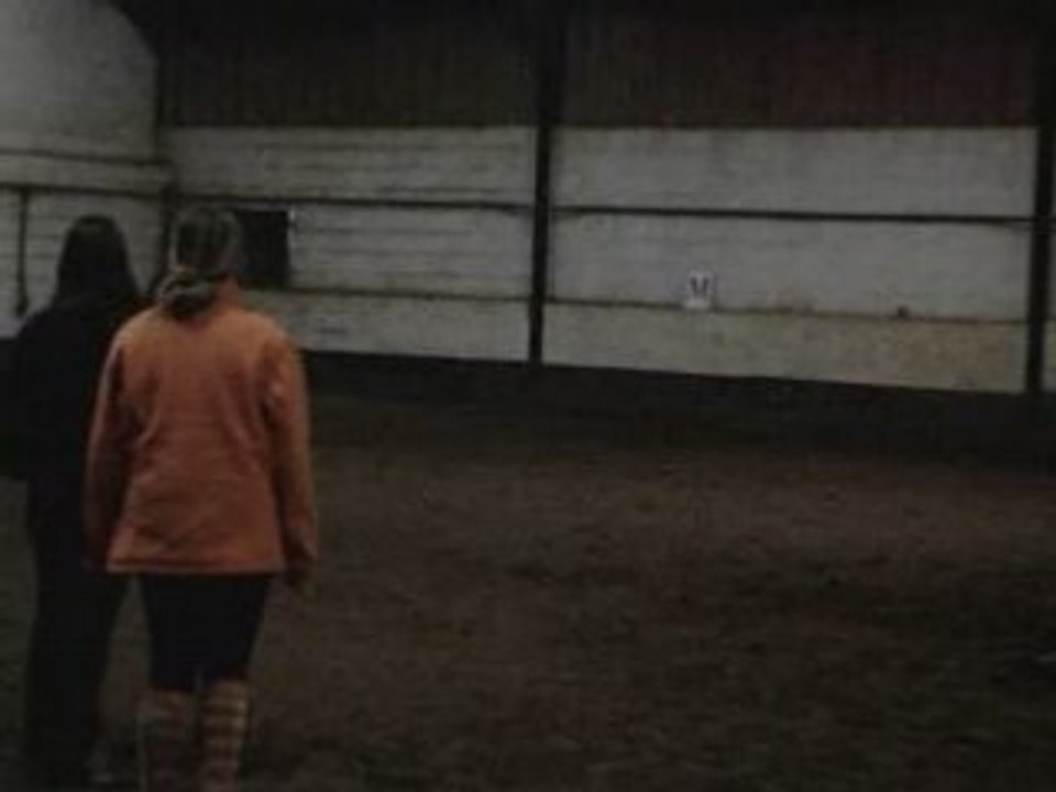 Obstacle Joske