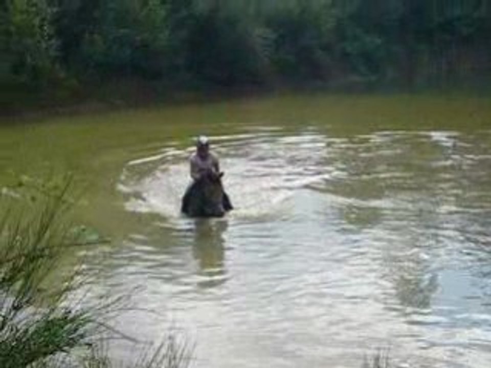 kiki et mo à l'eau