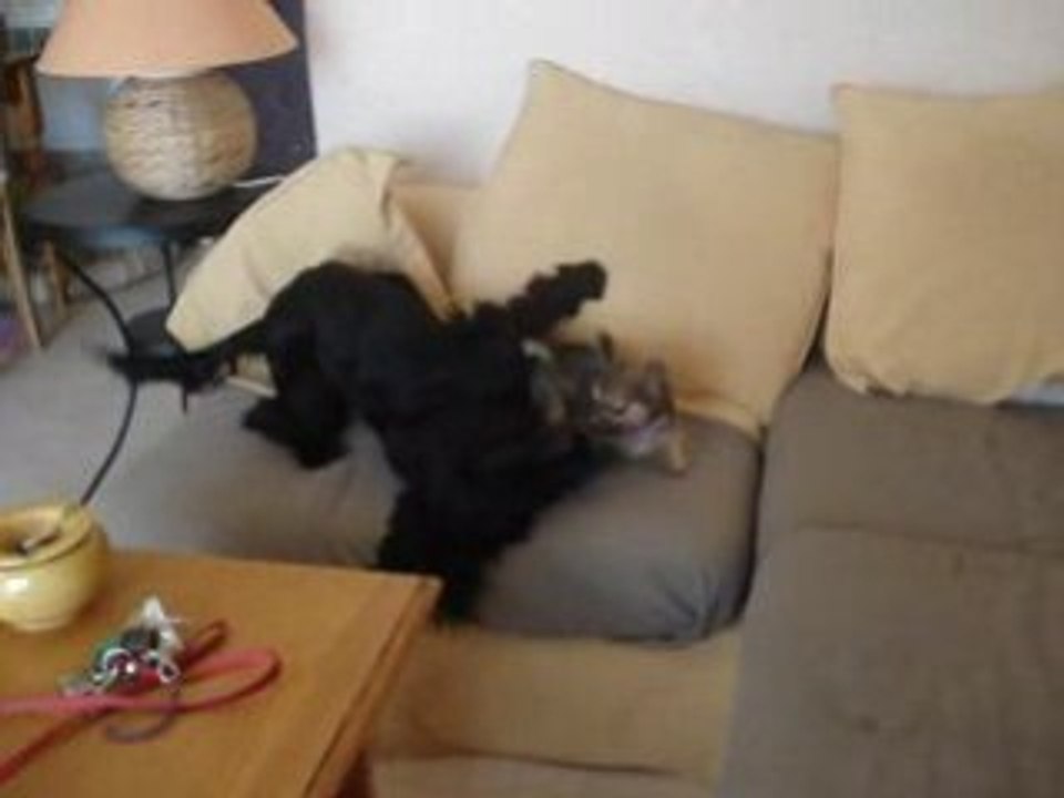 MOV03241