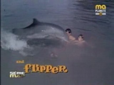 GENERIQUE DEBUT FLIPPER LE DAUPHIN FR STEFGAMERS