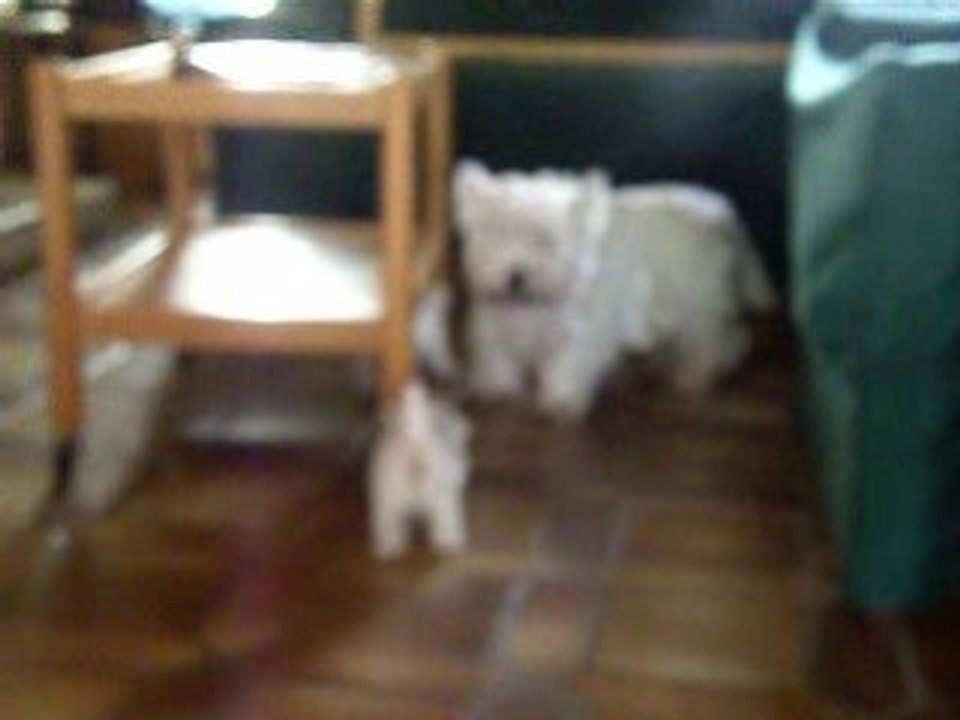 5 sem Dilou Titou