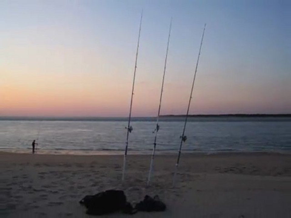 pêche en surfcasting - juillet/septembre 2008