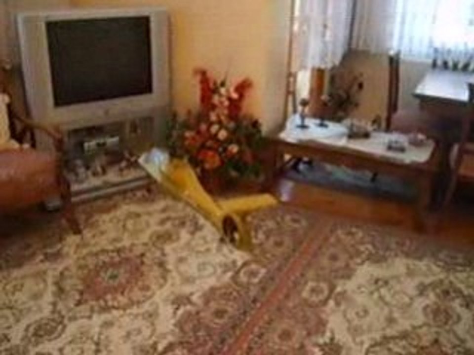 ESK Co-Comanche 4 Kanal Helikopter