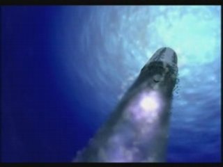 Dissuasion sous-marine