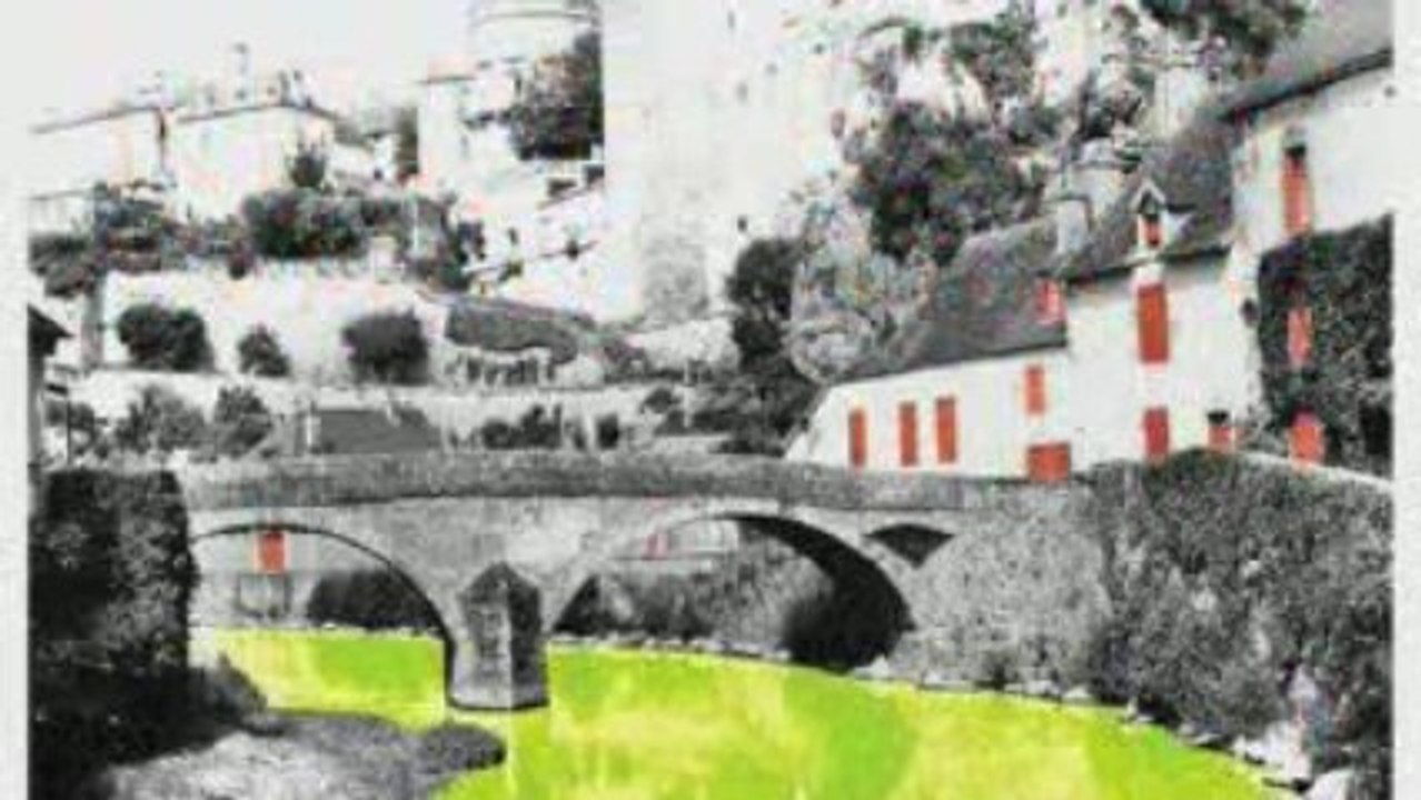 Journées "couleurs locales" à Semur-en-Auxois - Juin 2008