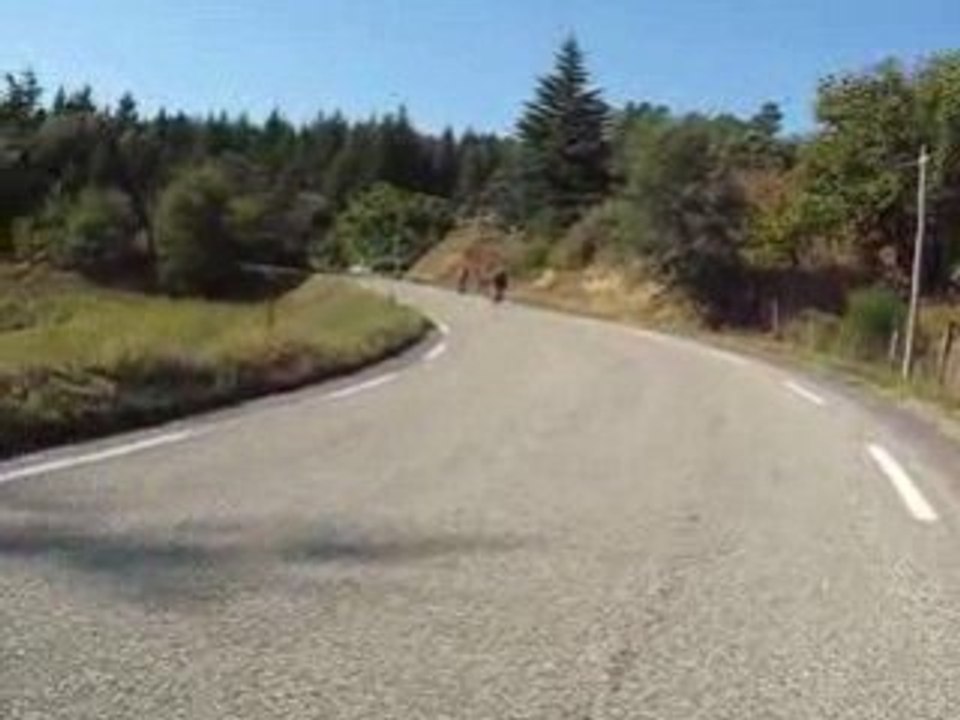 ça monte dans les Cévennes les Galets sont à la peine !!