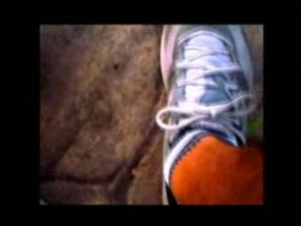 Camleg Prueba