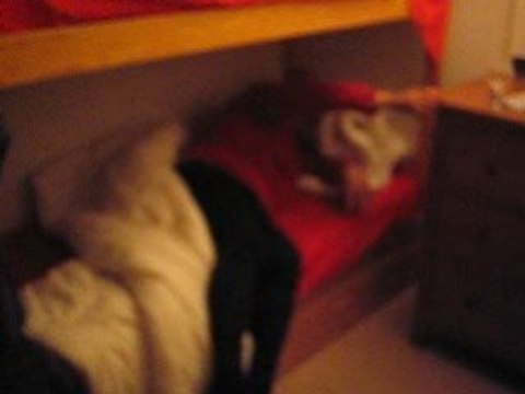 Vacance à Meribel Les trois Vallées dans la journée durdur !