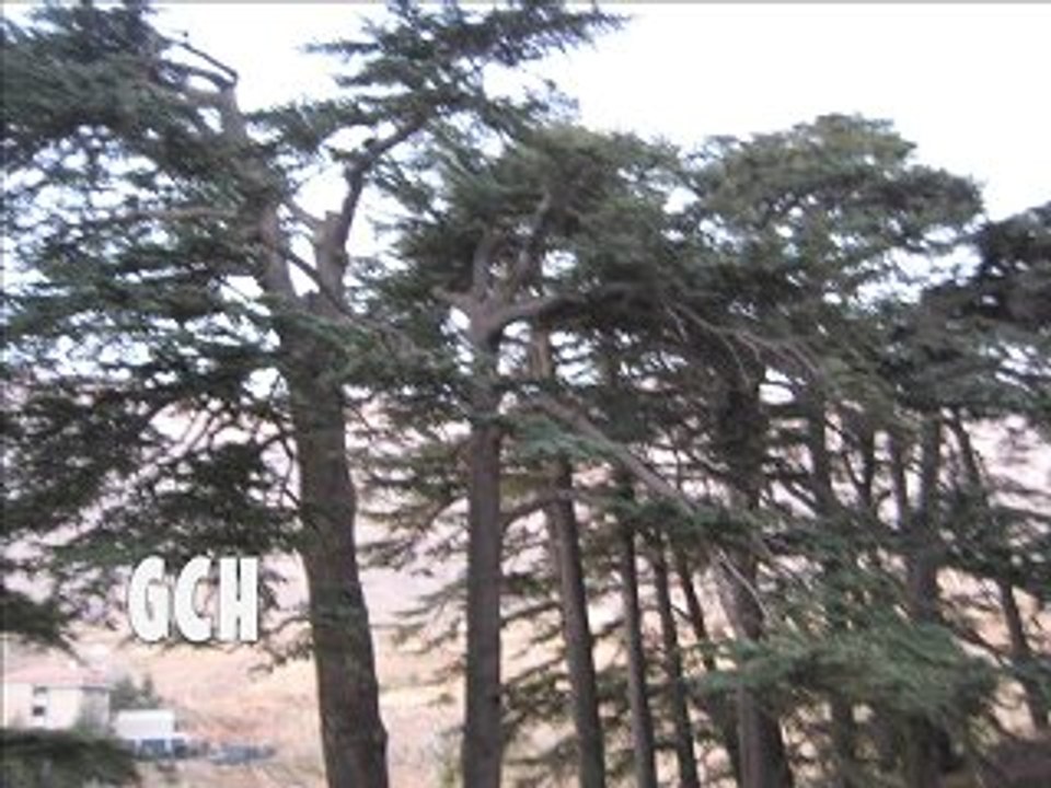 غيبي يا شمس  - ملحم زين