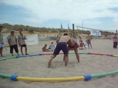 HERAN David Combat de beach wrestling