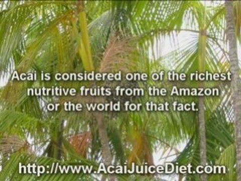 acai juice diet purple drank energy drink for teens