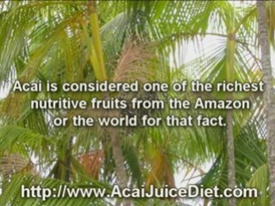 acai juice diet purple drank energy drink for teens