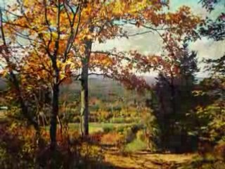 Digital Photography Tips