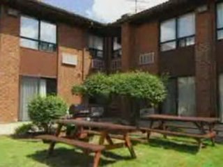 Comfort Inn Windsor Video Tour