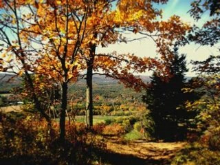 Digital  Photography Tips