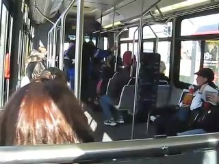 Sur le chemin du parc Mont Royal