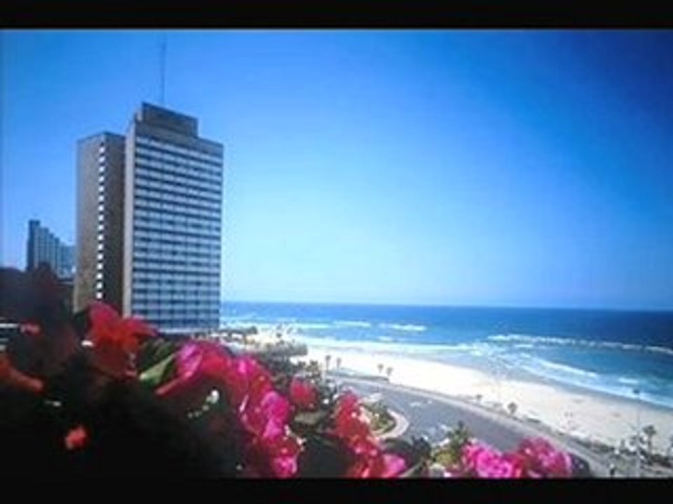 LIBERER GUILAD SHALIT