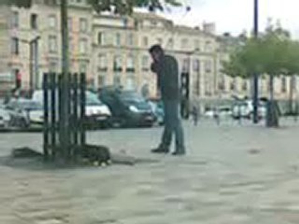 VID010