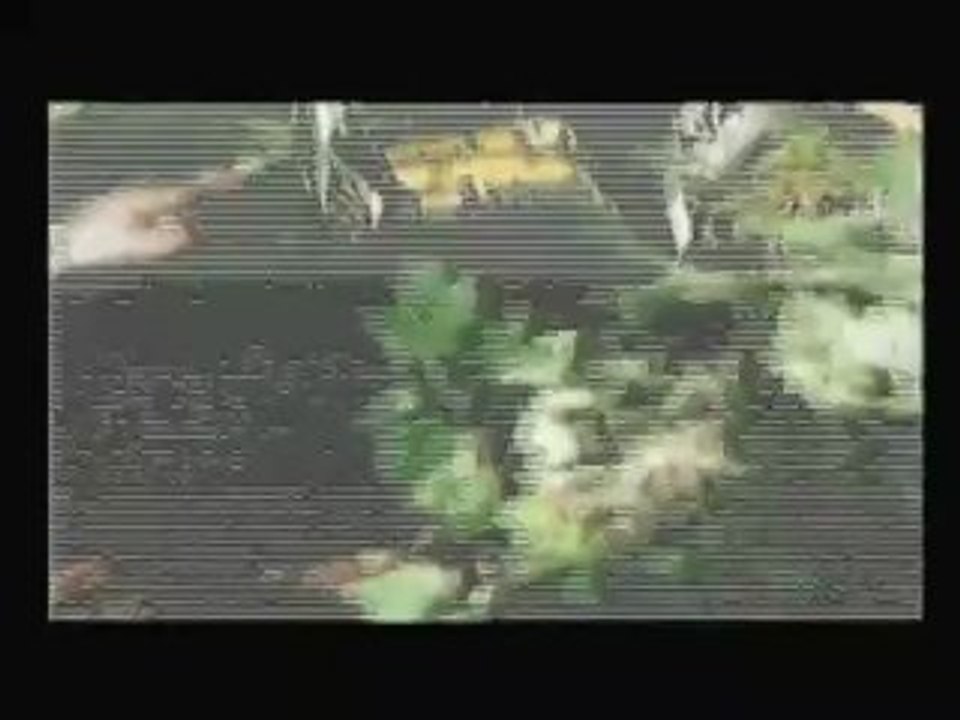 BRP / Bombardier products / skidoo , seadoo , evinrude