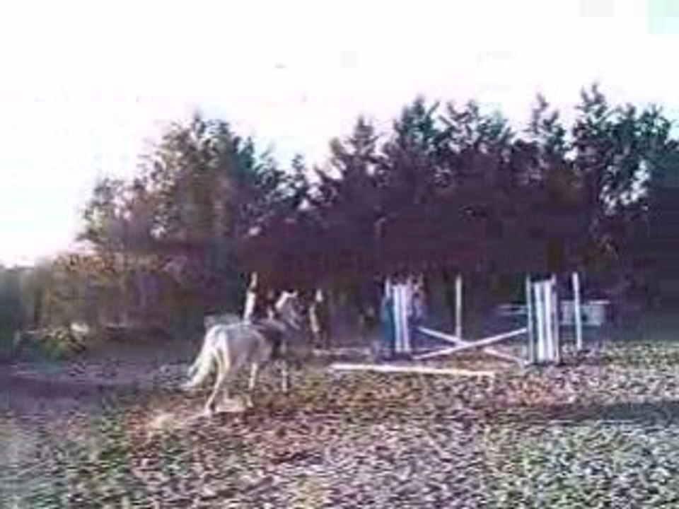 Echauffement du cours d'obstacles