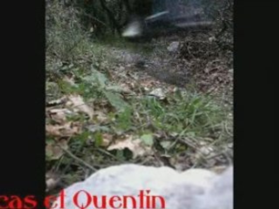 Quentin et Lucas 13.10.08