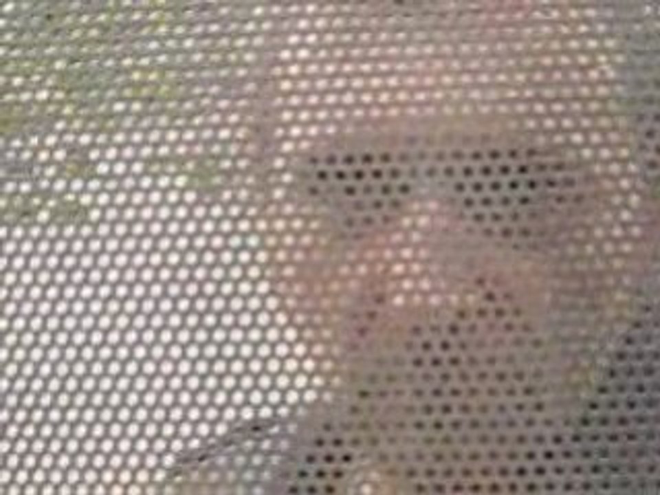 Les noirs desseins nouvelle version