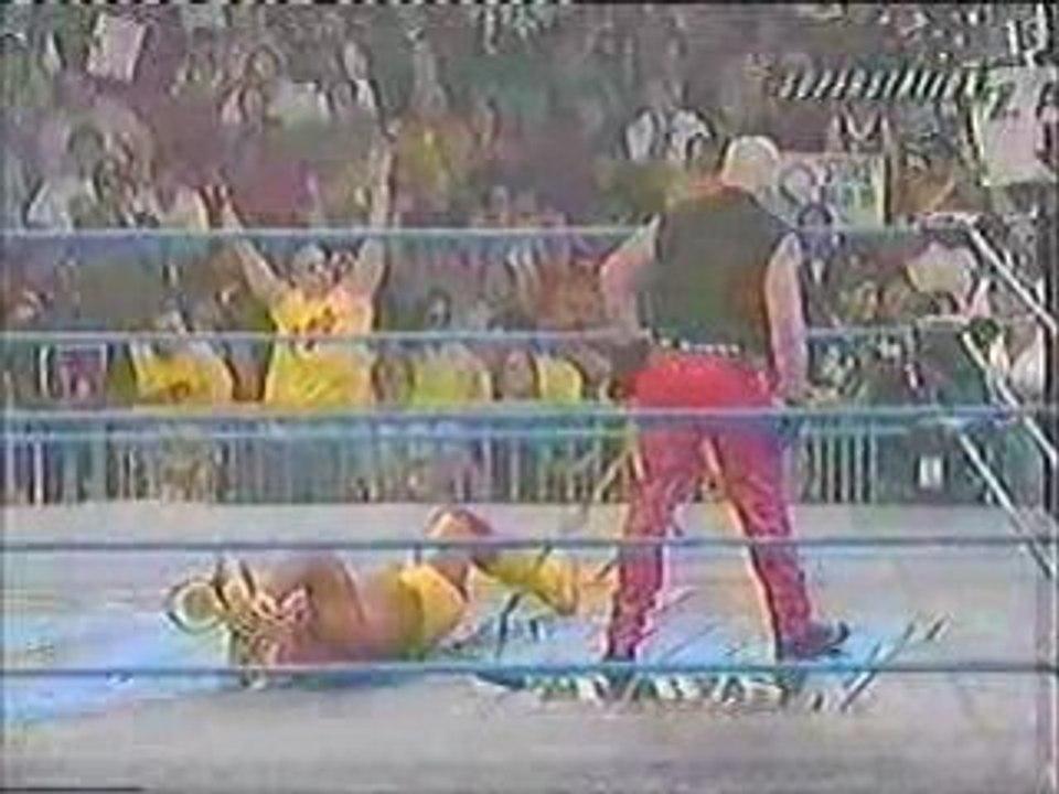 Hulk hogan vs dustin rhodes(part 2)