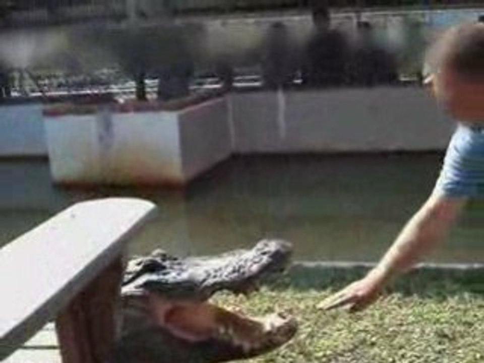 Schnappi schnappt zu