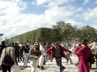 Pillow Fight Paris 4