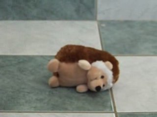 Hérisson qui fait son roulé boulé ^^