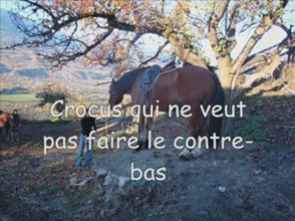 Ballade avec Sarah 3